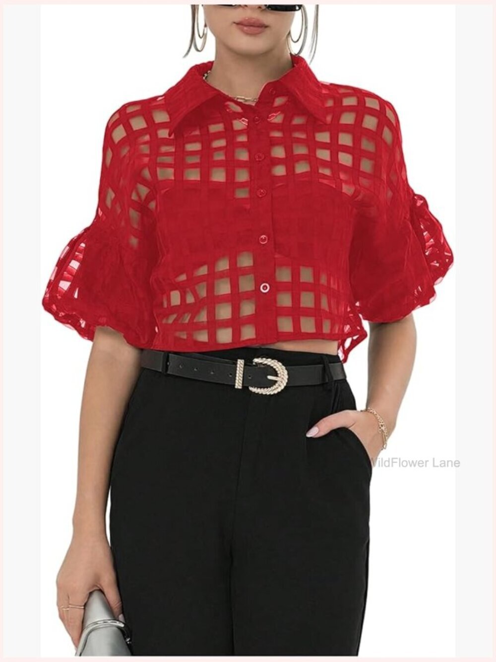 Sheer Mesh Short Sleeve Crop Blouse Button Down Collared Neck